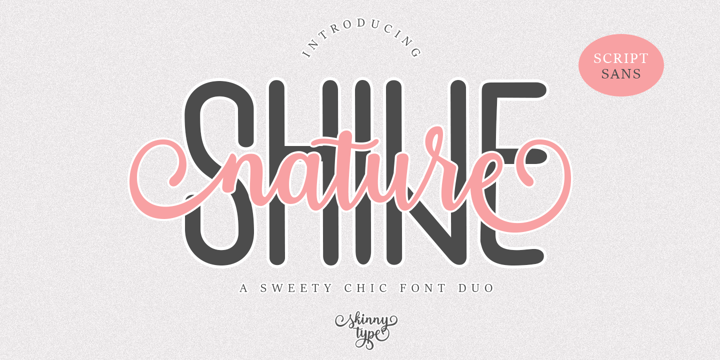 Skinny Type Font Bundle Font Poster 2