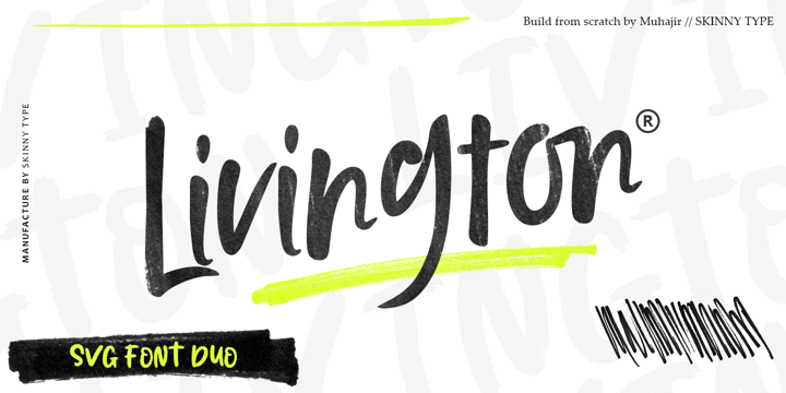 Skinny Type Font Bundle Font Poster 4
