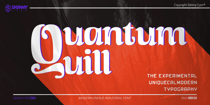 Skinny Type Font Bundle Font Poster 5