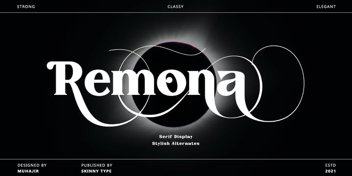 Skinny Type Font Bundle Font Poster 6