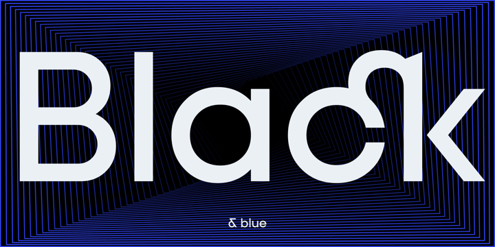 Font Bundle 1 Font Poster 13