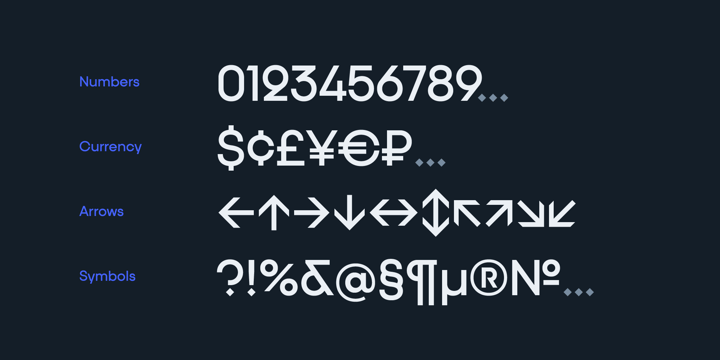 Font Bundle 1 Font Poster 15