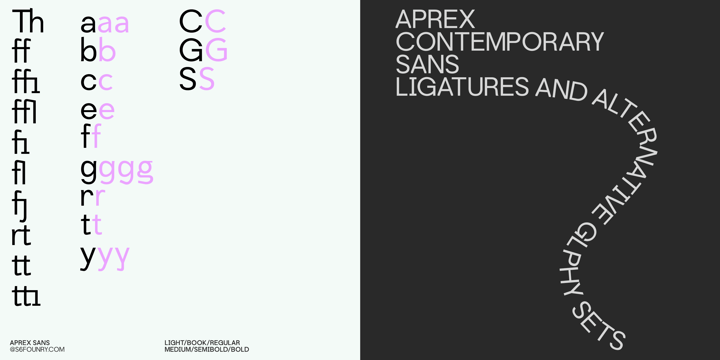 Aprex Sans Font Poster 7