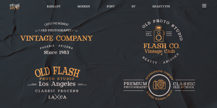 Top 30 Fonts for Stunning Professional Designs Font Poster 4