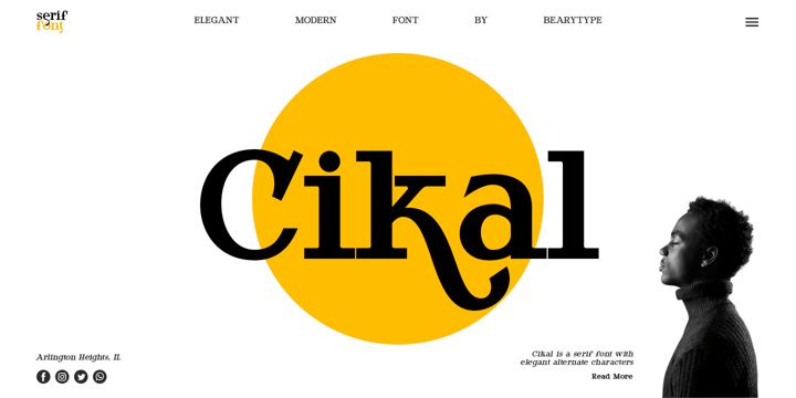 Top 30 Fonts for Stunning Professional Designs Font Poster 2