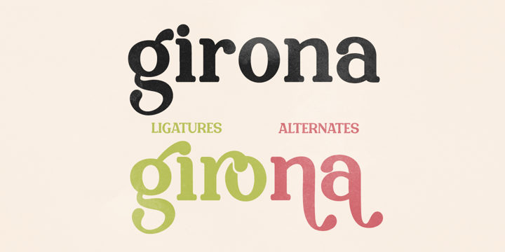 Top 30 Fonts for Stunning Professional Designs Font Poster 15