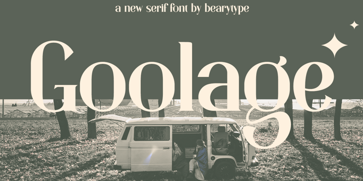 Top 30 Fonts for Stunning Professional Designs Font Poster 9