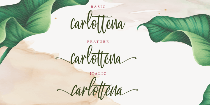 Carlottena Font Poster 8