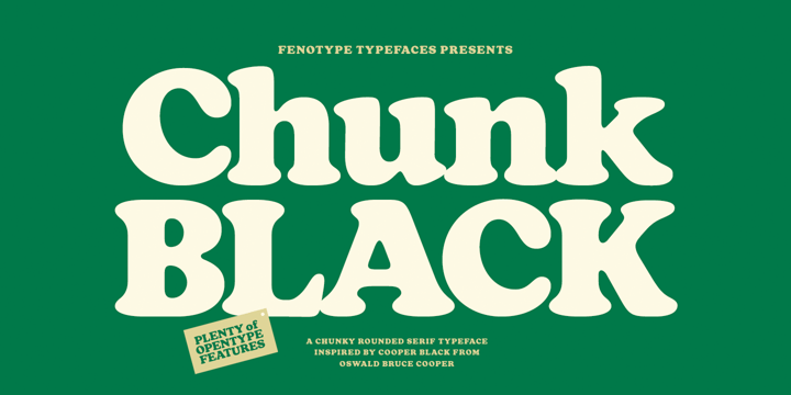 Chunk Font | Webfont & Desktop | MyFonts