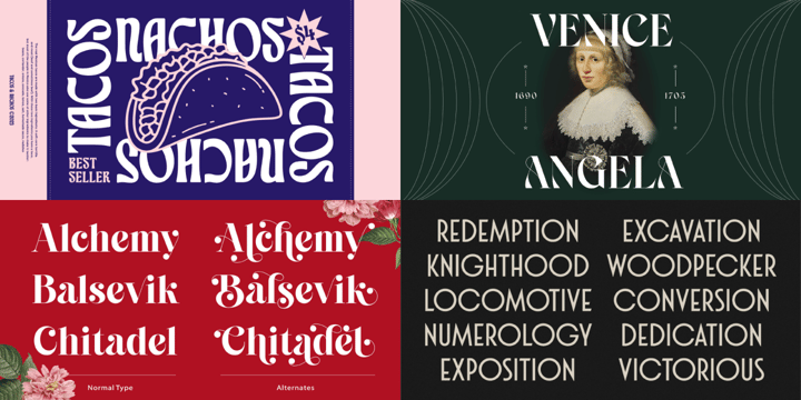 The Essential Display Bundle Font Poster 5