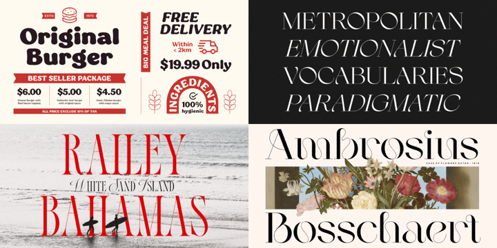 The Essential Display Bundle Font Poster 6