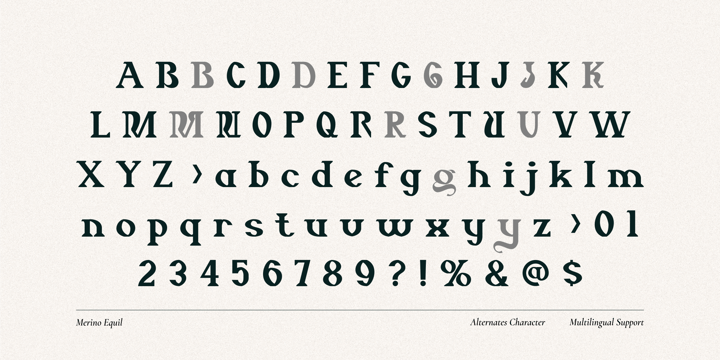 Merino Equil Font | Webfont & Desktop | MyFonts