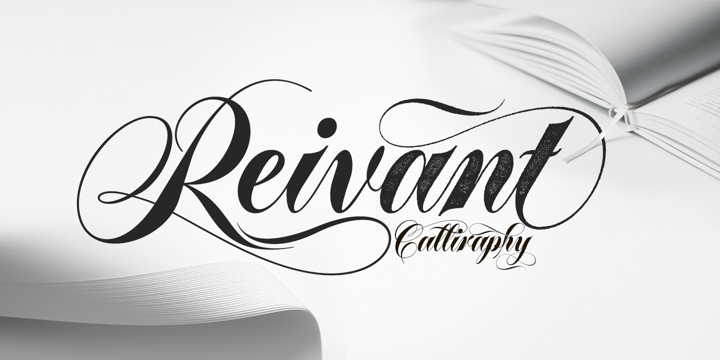 Display Bundle Typeface 17 styles Font Poster 4