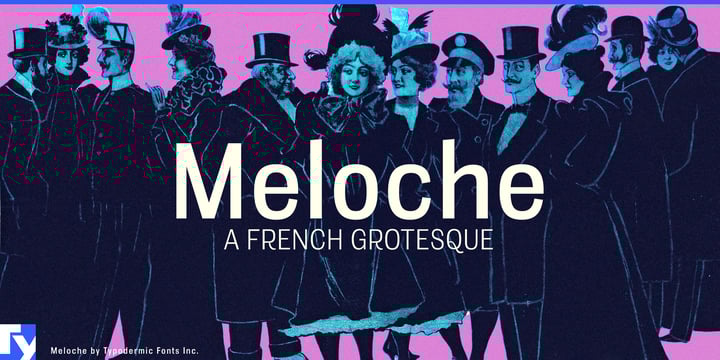 Meloche