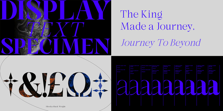 Unique Sans And Serif Bundle Collection Font Poster 2