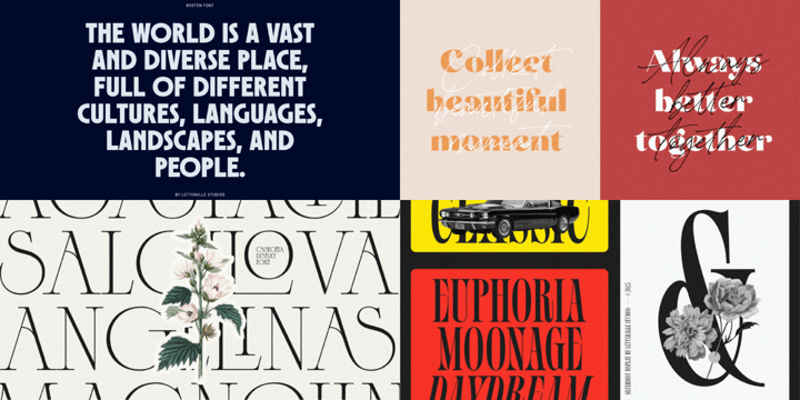 The Essential Display Bundle Font Poster 4