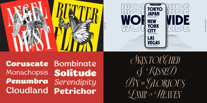 The Essential Display Bundle Font Poster 3