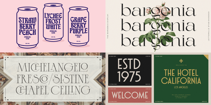 The Essential Display Bundle Font Poster 2