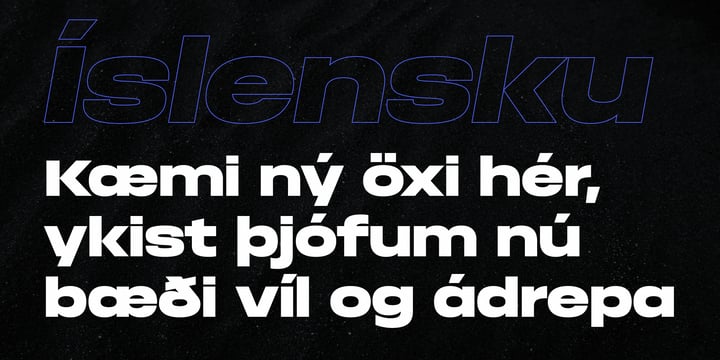 Font Bundle 2 Font Poster 8