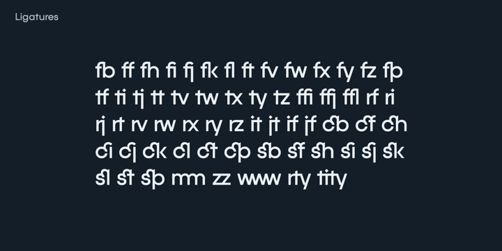 Font Bundle 2 Font Poster 12