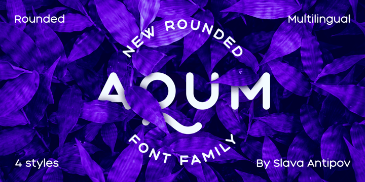 Font Bundle 5 Font Poster 9