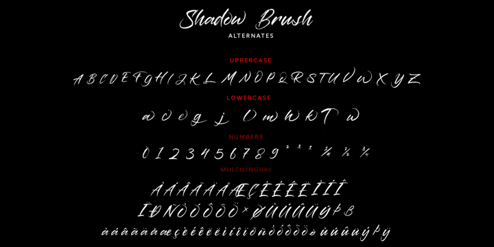 Shadow Brush Font Webfont Desktop Myfonts