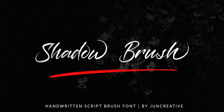 Shadow Brush Font Poster 1