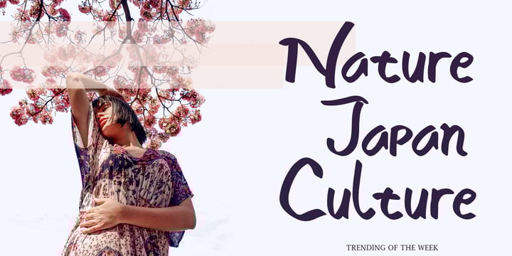 Nadiva Font Poster 7