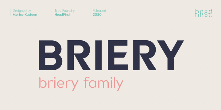 Briery Font Poster 1