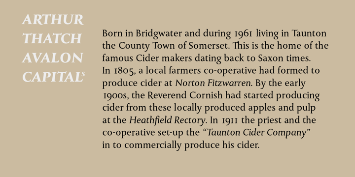 Monkton Font Poster 6