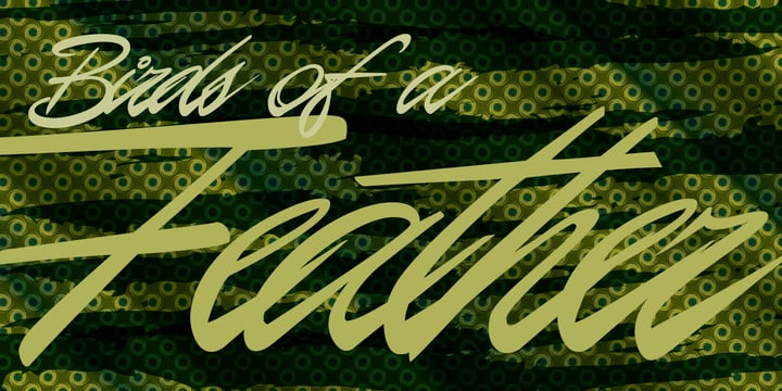 P22 Casual Script™