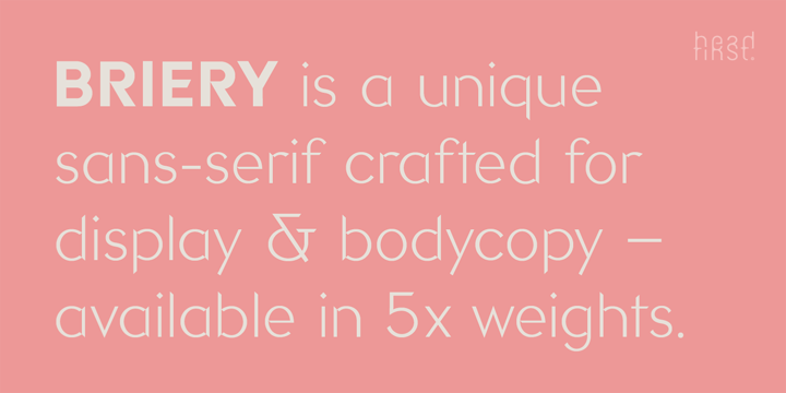Briery Font Poster 2