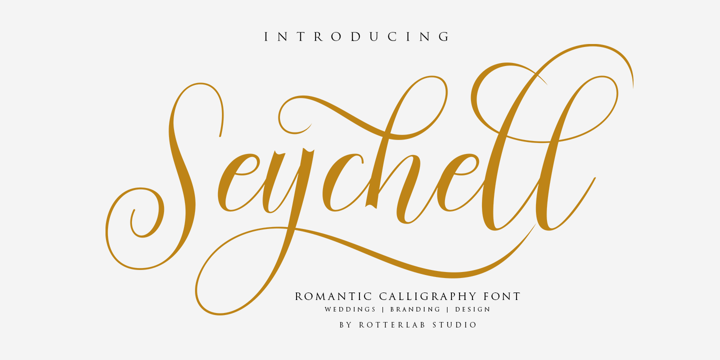 Seychell Script Font Poster 1