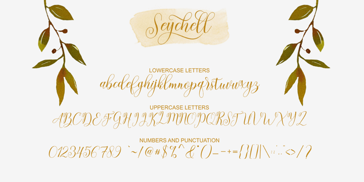 Seychell Script Font Poster 5