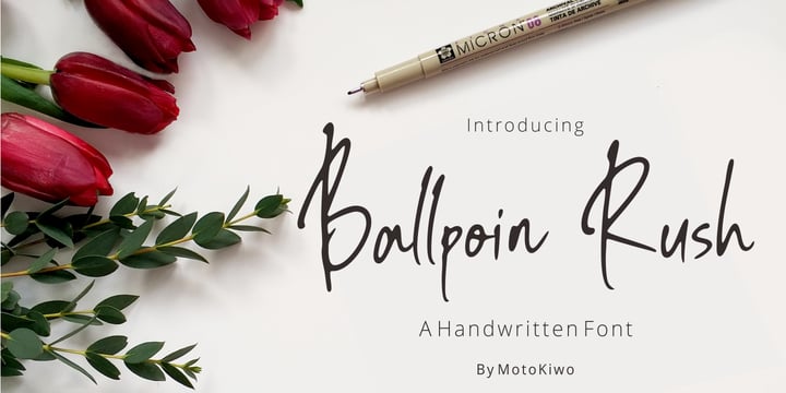 Download Ballpoint Rush Fonts Family From Motokiwo