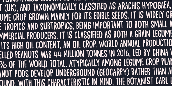Guideline Font Poster 6
