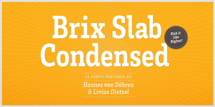 Brix Slab Font Poster 1