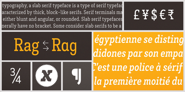 Brix Slab Font Poster 7