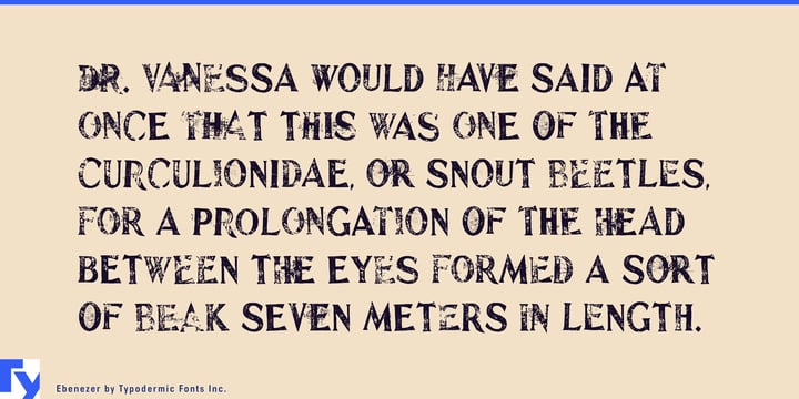 Ebenezer Font Poster 4