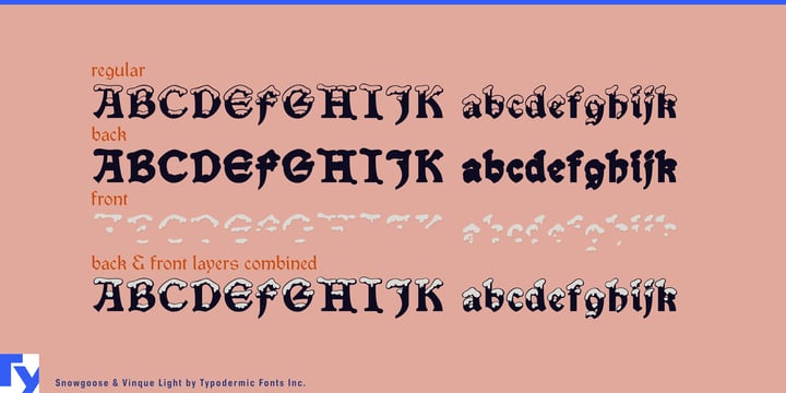 Snowgoose Font Poster 4