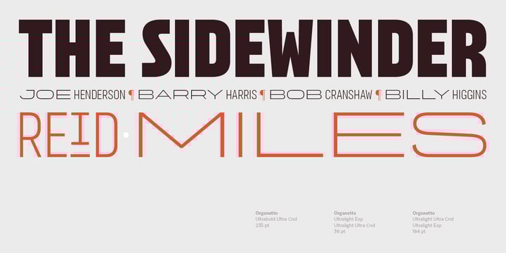 Organetto Font Poster 12