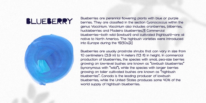 Blueberry Spot Font Poster 4