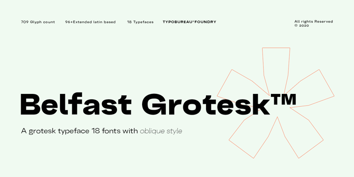 Download Belfast Grotesk Fonts Family From TypoBureau Studio