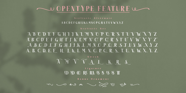 Download Akserant Display Font Webfont Desktop Myfonts PSD Mockup Templates