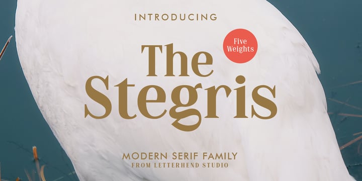 Download The Stegris Fonts Family From Letterhend