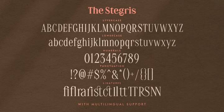 The Stegris Font Poster 9