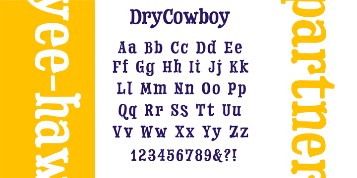 Dry Cowboy Font Poster 2