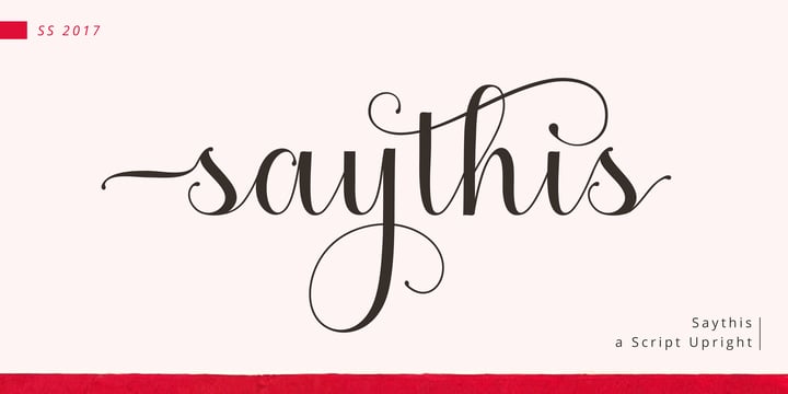 Download Saythis Script Fonts Family From stiplinestudios