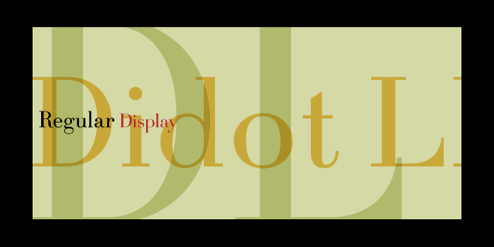 Didot LP Font Poster 1