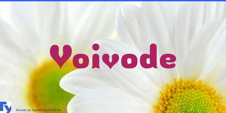 Voivode